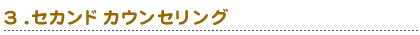 セカンドカウンセリング